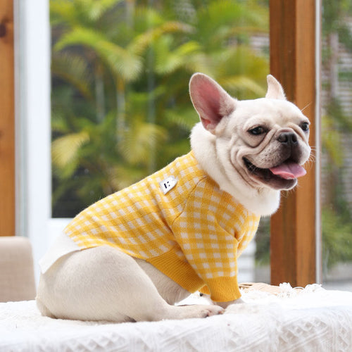 Pawfect Energy