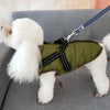 Winter Dog Coat – Waterproof & Warm