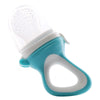 Infant Fruit & Veggie Pacifier