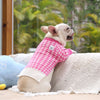 New Pet Clothing Products Keep Warm