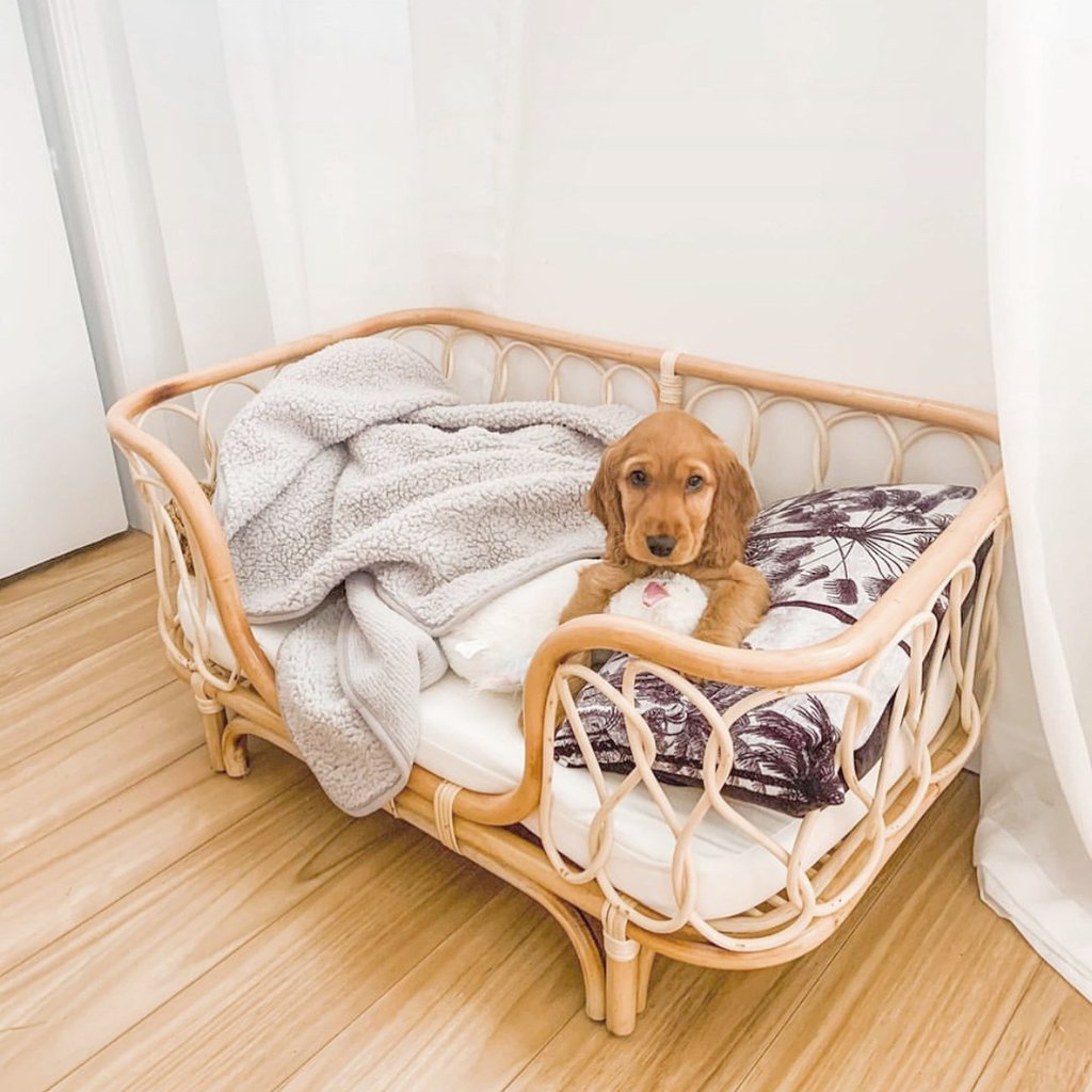 Handmade Rattan Pet Bed – Sofa 🐾