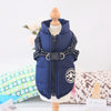 Winter Dog Coat – Waterproof & Warm