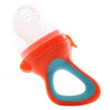Infant Fruit & Veggie Pacifier