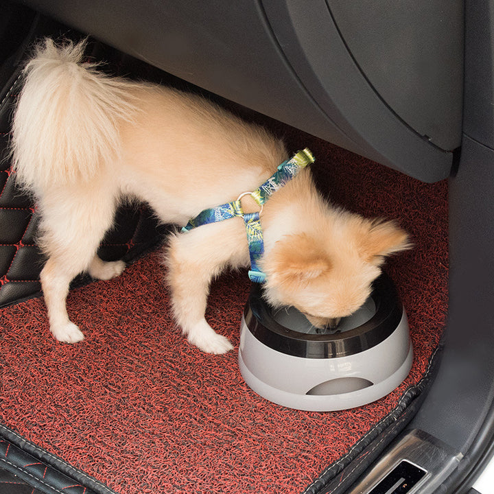 No-Spill Dog Bowl – Travel Ready