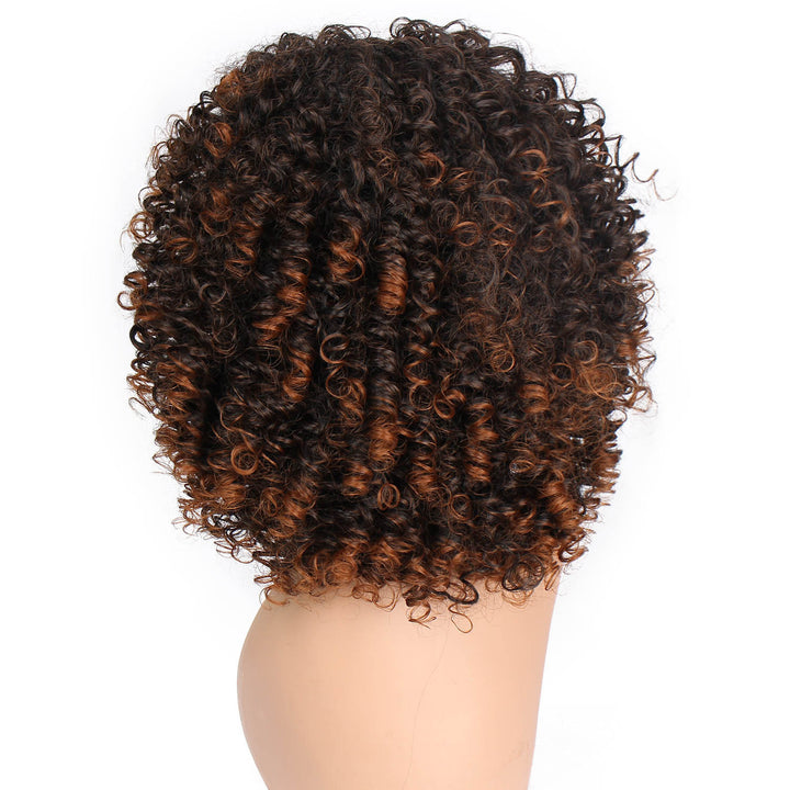 Soft Spring Curls Human Hair Wig