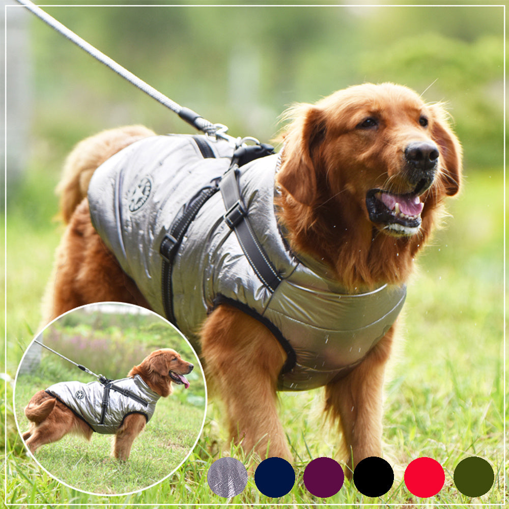 Winter Dog Coat – Waterproof & Warm