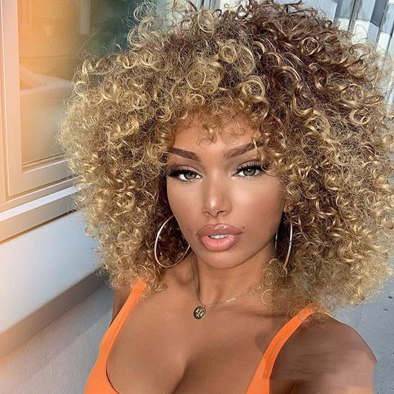 Short Afro Curly Wig