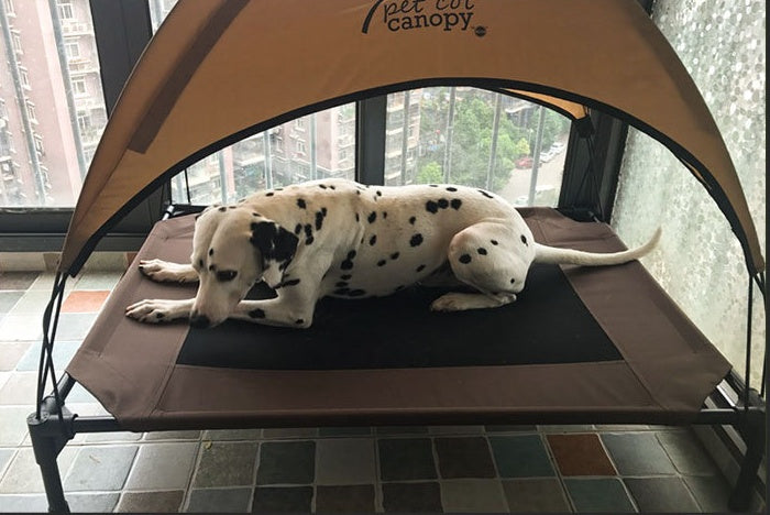 Removable Dog Bed – Waterproof Base