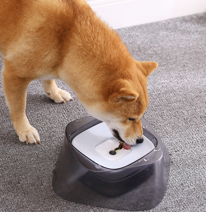 No-Spill Pet Water Bowl – Clean Sip