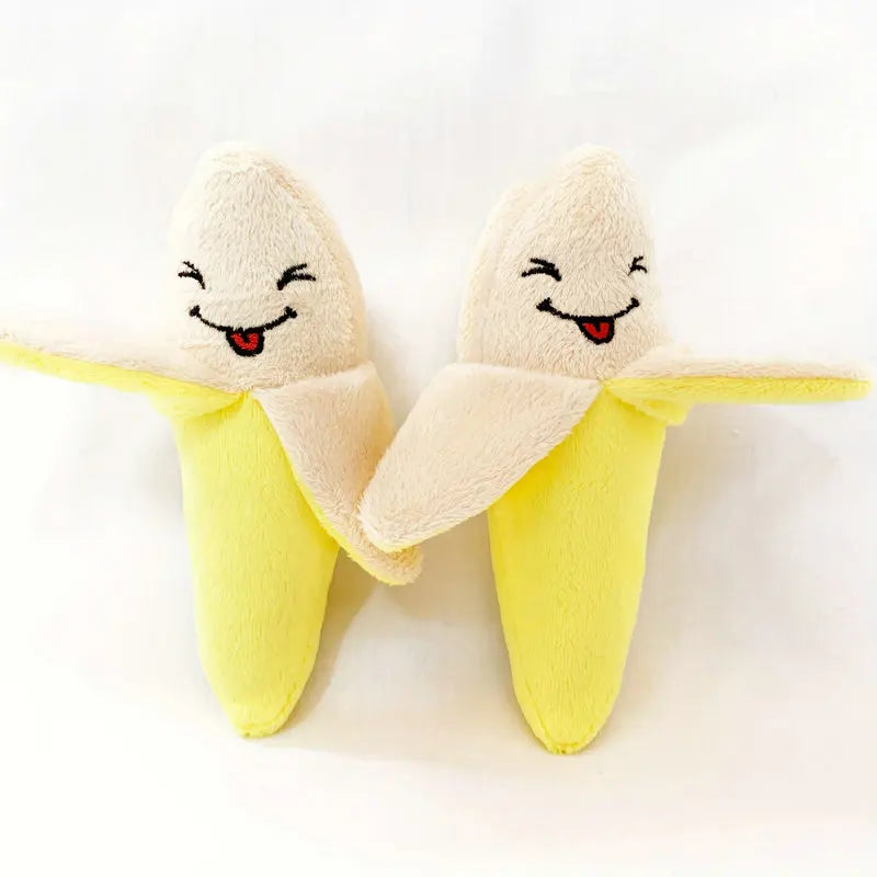 Puppy Chew Toys