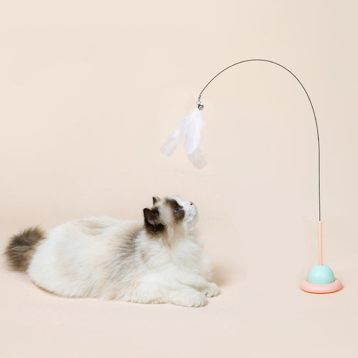 Fixed Pet Toy – Fun Household Game