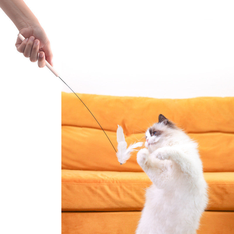 Fixed Pet Toy – Fun Household Game