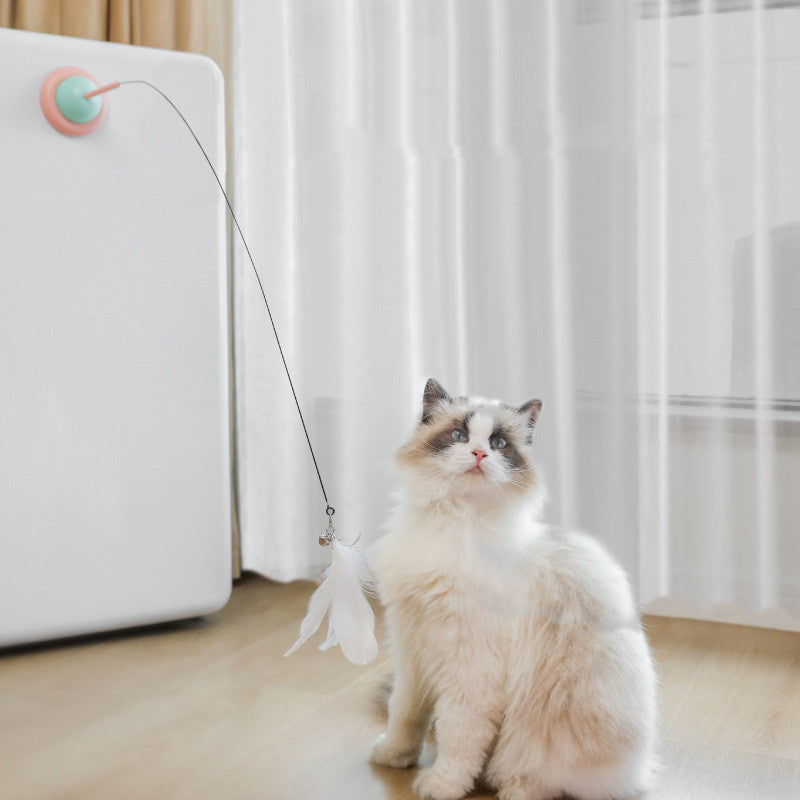 Fixed Pet Toy – Fun Household Game