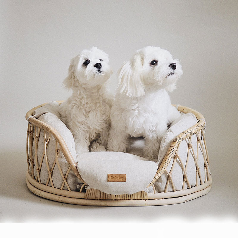 Handmade Rattan Pet Bed – Sofa 🐾